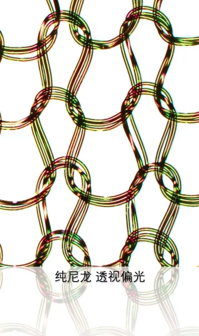 海西蔡司共聚焦显微镜