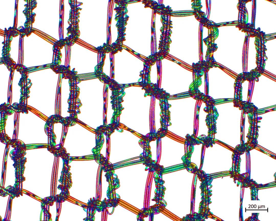 海西蔡司场发射海西扫描电镜